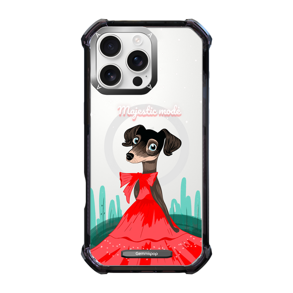 I.C Grand Entrance x Fancy 16Pro