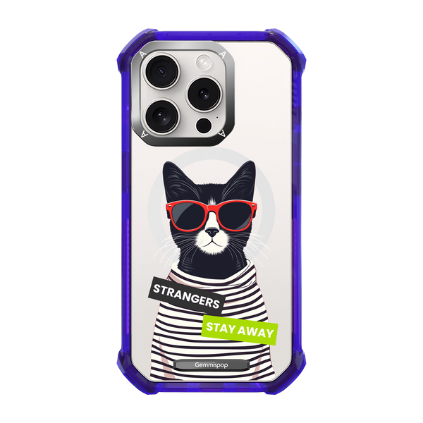 アステリズムケース