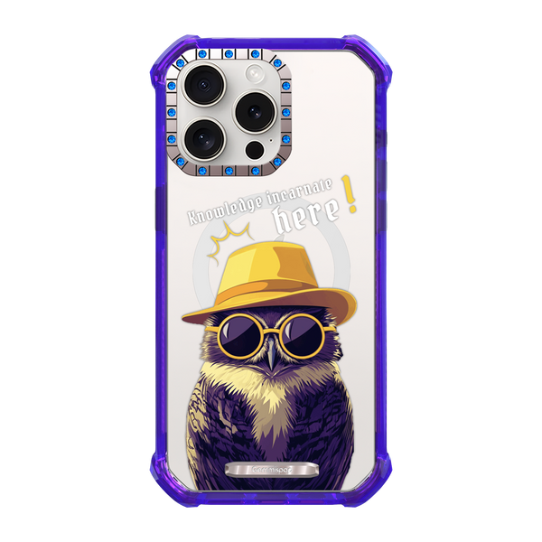 P.C Owl × Insight 15ProMax