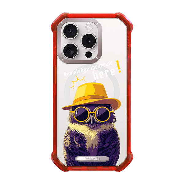 I.C Owl × Insight 15pro