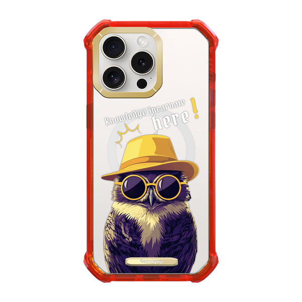 I.C Owl × Insight 15proMax