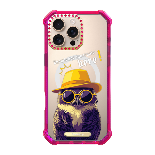 M.C Owl × Insight 16Pro